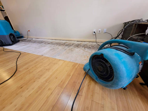 Professional Structural Drying technician working in Edward, NC